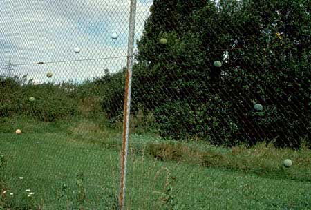 Naturalising gesture