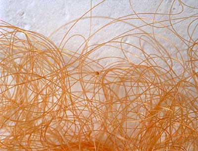 What does your soul look like